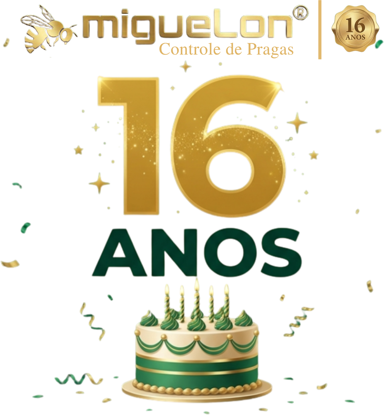 Aniversário Miguelon 16 Anos